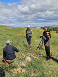 Footage of Carob Grafting in Dyr El Kef (ph. FiBL France)