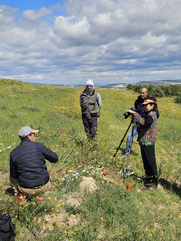 Footage of Carob Grafting in Dyr El Kef (ph. FiBL France)