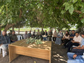 Carob propagation workshop (ph. ICARDA)