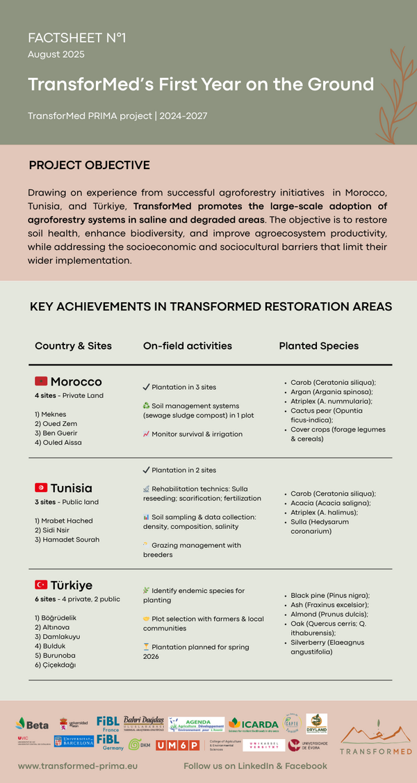 TransforMed 1st year Achievements