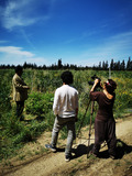 Footage of syntropic trial in Fahs (ph. FiBL France)