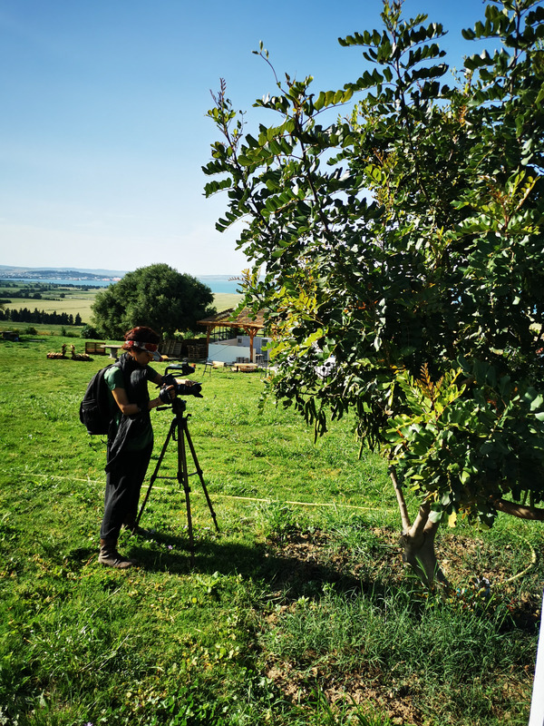 Footage of carob plantation in Bizerte (ph. FiBL France)