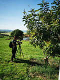 Footage of carob plantation in Bizerte (ph. FiBL France)
