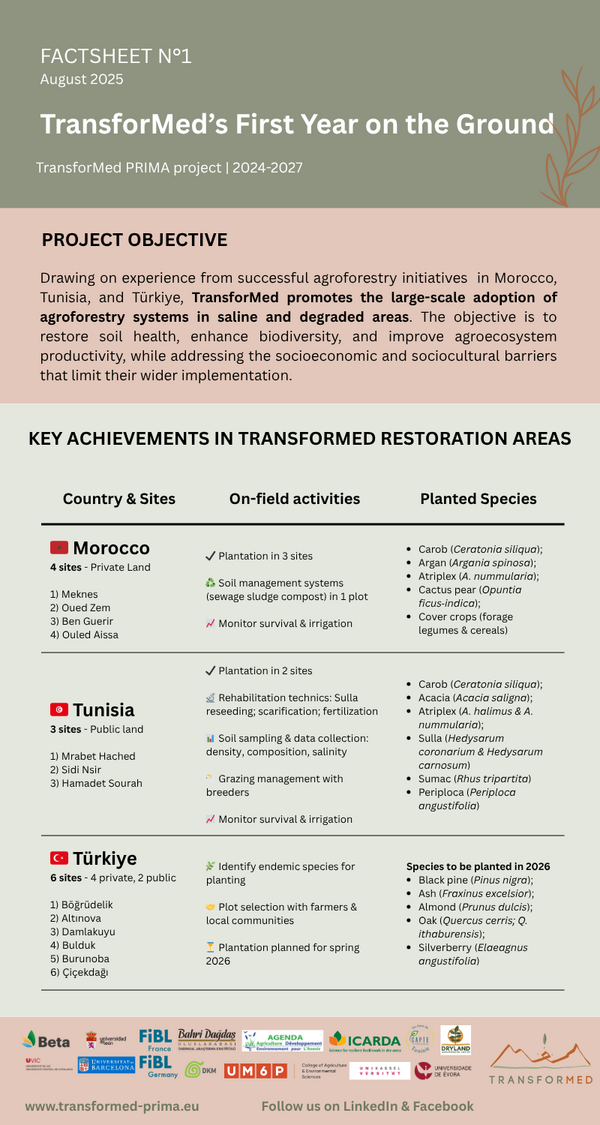 TransforMed_1st_Year_Achievement_Factsheet TransforMed_1st_Year_Achievement_Factsheet
